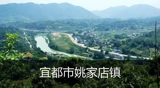 宜都市姚家店镇