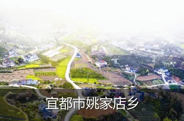 宜都市姚家店乡