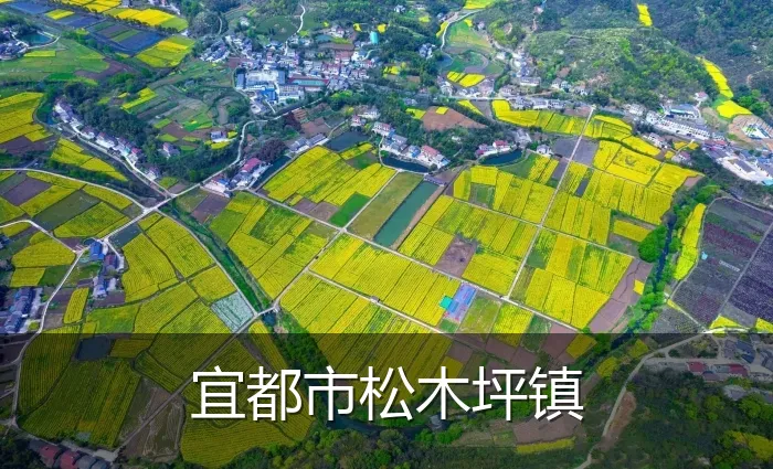 宜都市松木坪镇